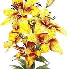 Cross stitch pattern: #1872531
