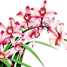 Cross stitch pattern: #1872535