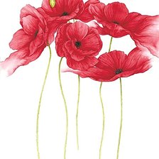 Cross stitch pattern: #1872612
