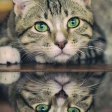 Cross stitch pattern: #1872854