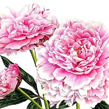 Cross stitch pattern: #1873783