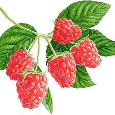 Cross stitch pattern: #1873786