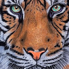 Cross stitch pattern: #1873802