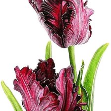 Cross stitch pattern: #1874053