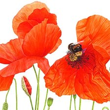 Cross stitch pattern: #1874057
