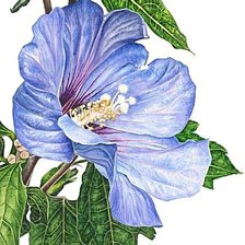 Cross stitch pattern: #1874059
