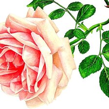 Cross stitch pattern: #1874060