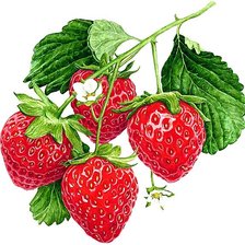 Cross stitch pattern: #1874179
