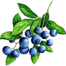 Cross stitch pattern: #1874182
