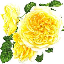 Cross stitch pattern: #1874183