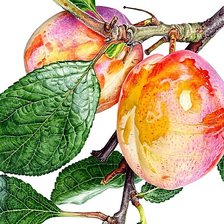 Cross stitch pattern: #1874233