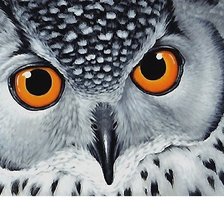 Cross stitch pattern: #1874406