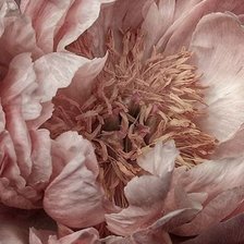 Cross stitch pattern: #1876845