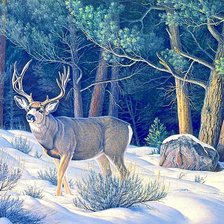 Cross stitch pattern: #1878007