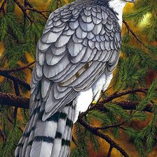 Cross stitch pattern: #1878011
