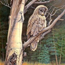 Cross stitch pattern: #1878017