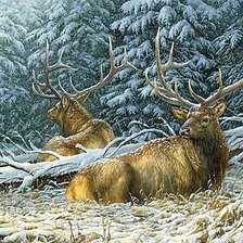 Cross stitch pattern: #1878031