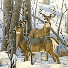 Cross stitch pattern: #1878039