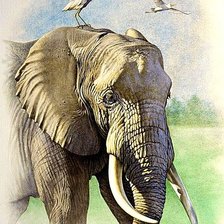 Cross stitch pattern: #1878042