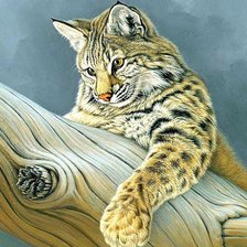 Cross stitch pattern: #1878045