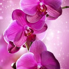 Cross stitch pattern: #1878343
