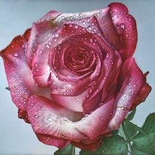 Cross stitch pattern: #1878409