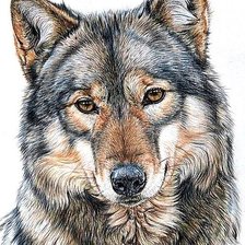 Cross stitch pattern: #1878422
