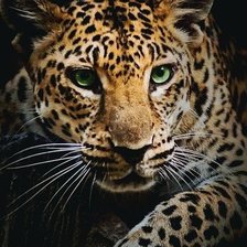 Cross stitch pattern: #1878683