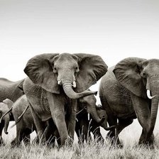 Cross stitch pattern: #1878701