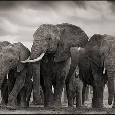 Cross stitch pattern: #1878703