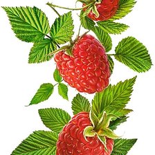 Cross stitch pattern: #1878729