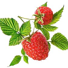 Cross stitch pattern: #1878730