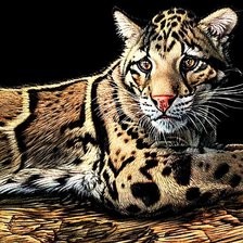 Cross stitch pattern: #1878746