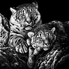 Cross stitch pattern: #1878747