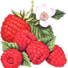 Cross stitch pattern: #1879018