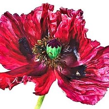 Cross stitch pattern: #1879034
