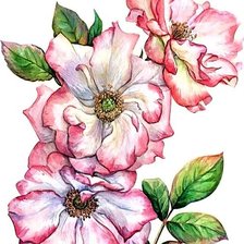 Cross stitch pattern: #1879821