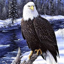 Cross stitch pattern: #1880645