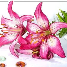 Cross stitch pattern: #1880647