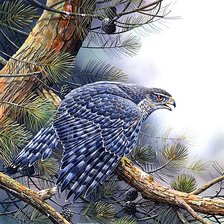 Cross stitch pattern: #1881186