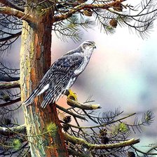 Cross stitch pattern: #1881188