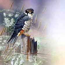 Cross stitch pattern: #1881206
