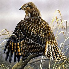 Cross stitch pattern: #1881209