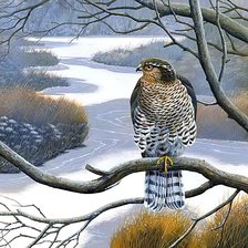 Cross stitch pattern: #1881210