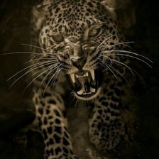 Cross stitch pattern: #1882211