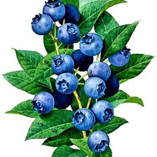 Cross stitch pattern: #1882363