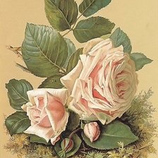 Cross stitch pattern: #1882586