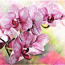 Cross stitch pattern: #1882833