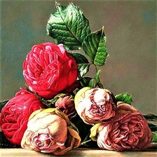 Cross stitch pattern: #1883126