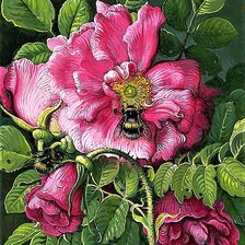 Cross stitch pattern: #1883246